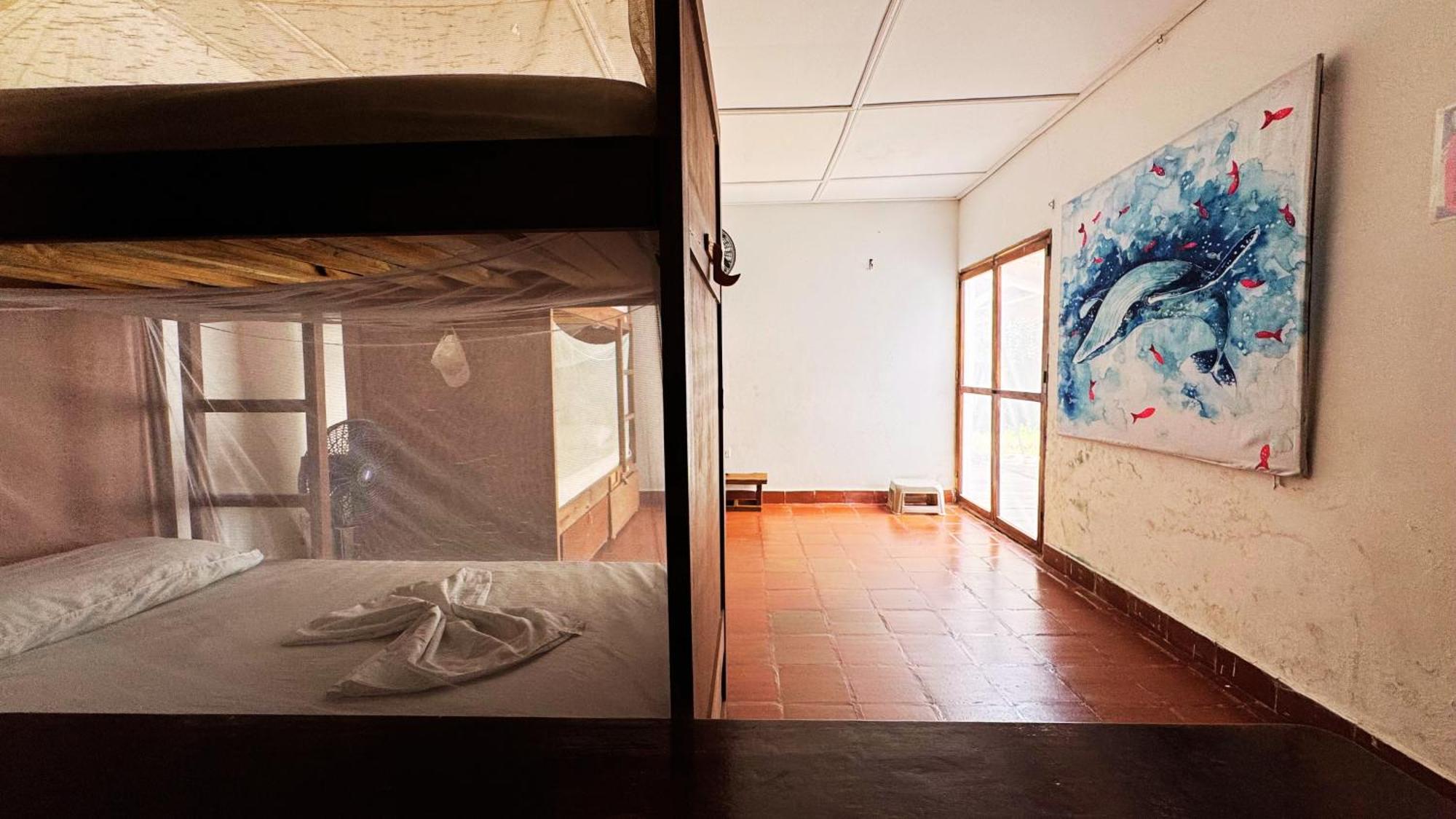 Jaba Jan Hostal Palomino Kültér fotó